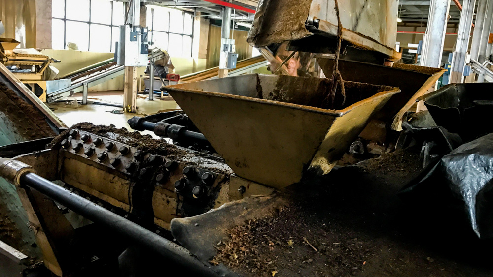 Plantacje herbaty Sri lanka-42