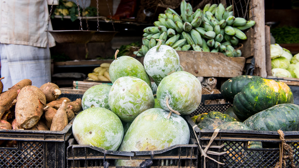 Plantacje herbaty Sri lanka-31