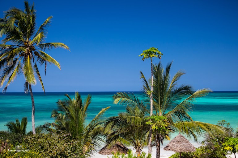 hotel melia zanzibar 05