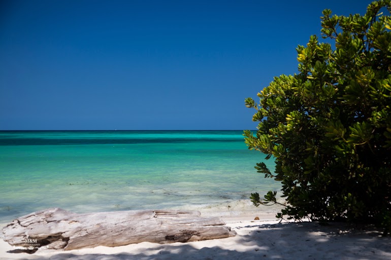 hotel melia zanzibar 09