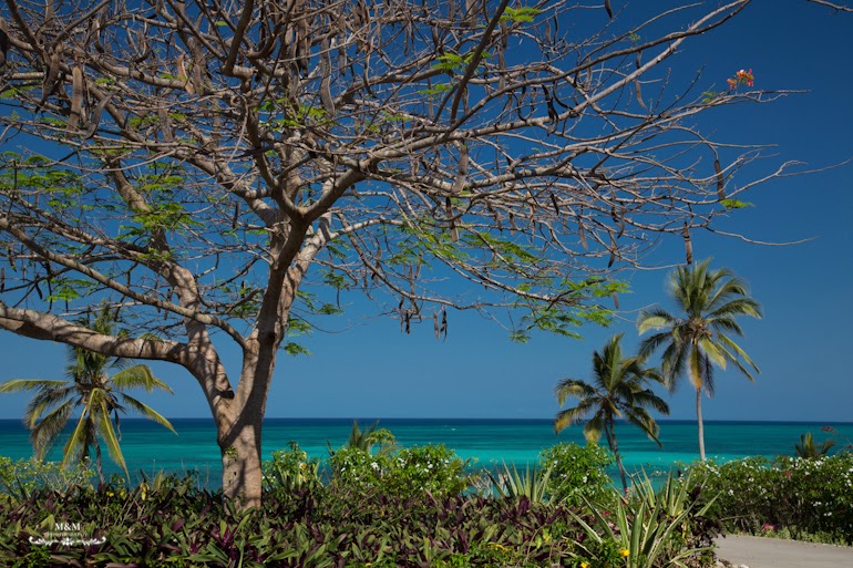 hotel melia zanzibar 10