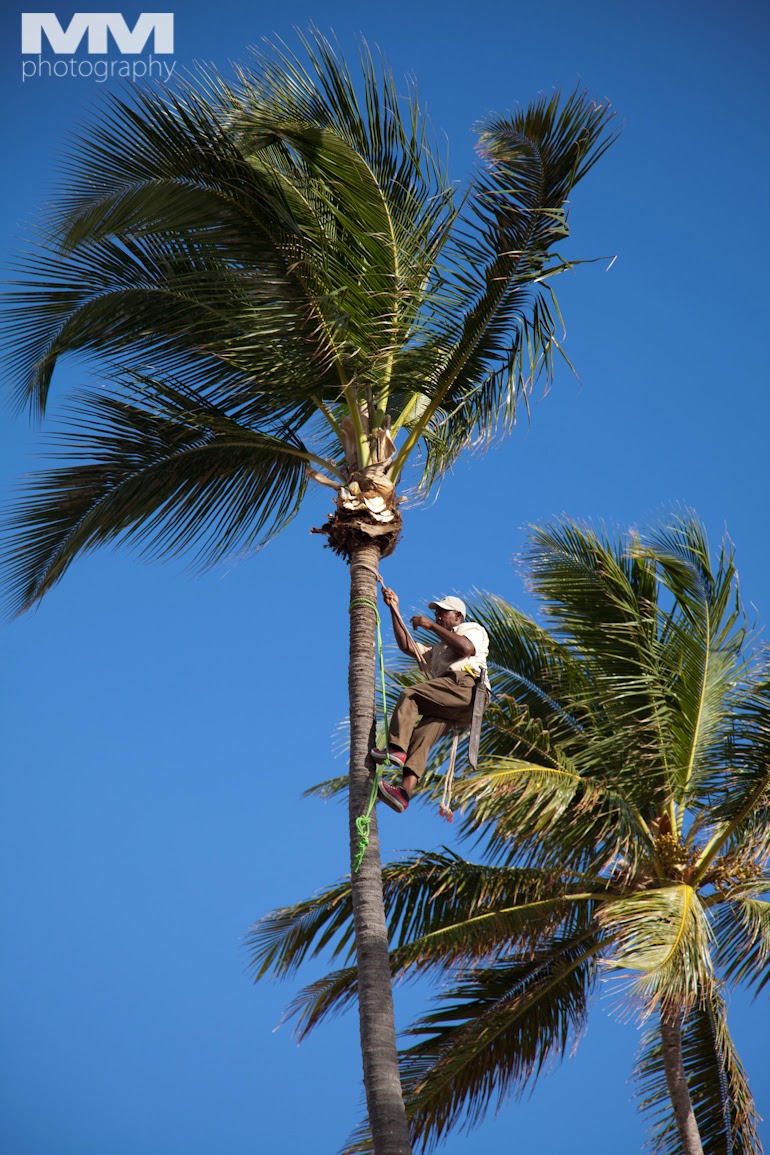 hotel secret royal beach dominikana 09