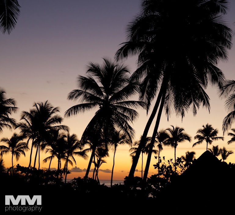 hotel secret royal beach dominikana 42