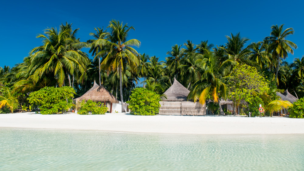 Sun Aqua Vilu Reef-48