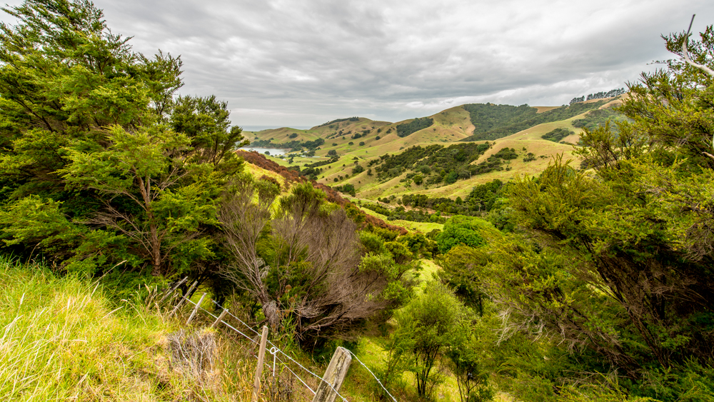 nowa zelandia co zobaczyc plan podrozy 4 tygdnie 05
