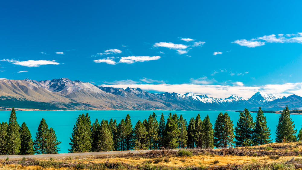 nowa zelandia co zobaczyc plan podrozy 4 tygdnie 18