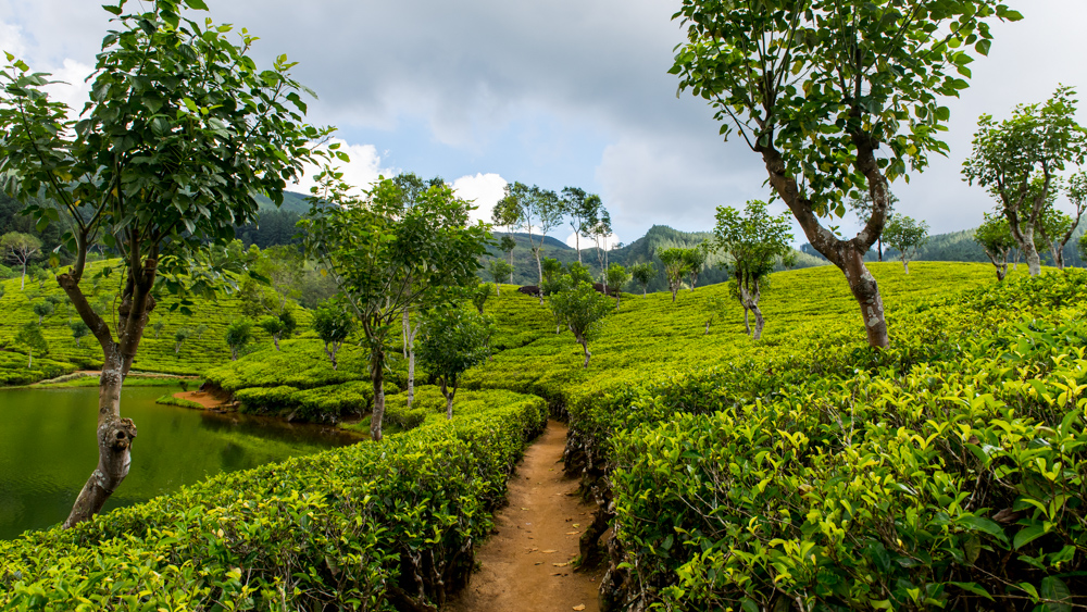 Sri Lanka Sembuwatte Lake-25