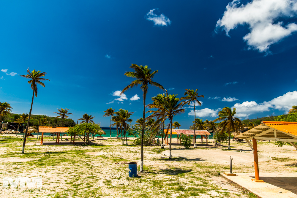 Plaze Curacao-6718