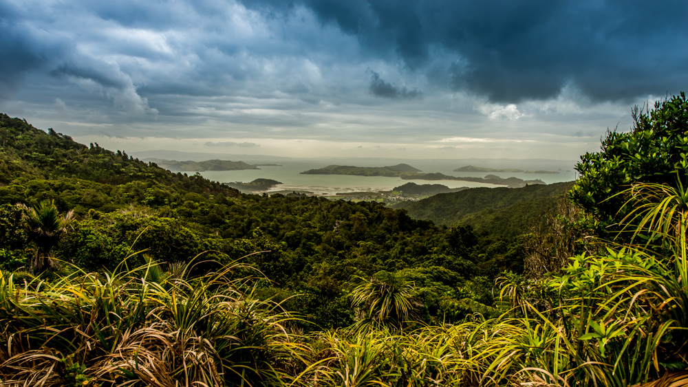 nowa-zelandia-coromandel-13