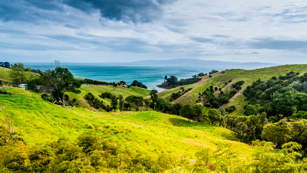 nowa-zelandia-coromandel-4