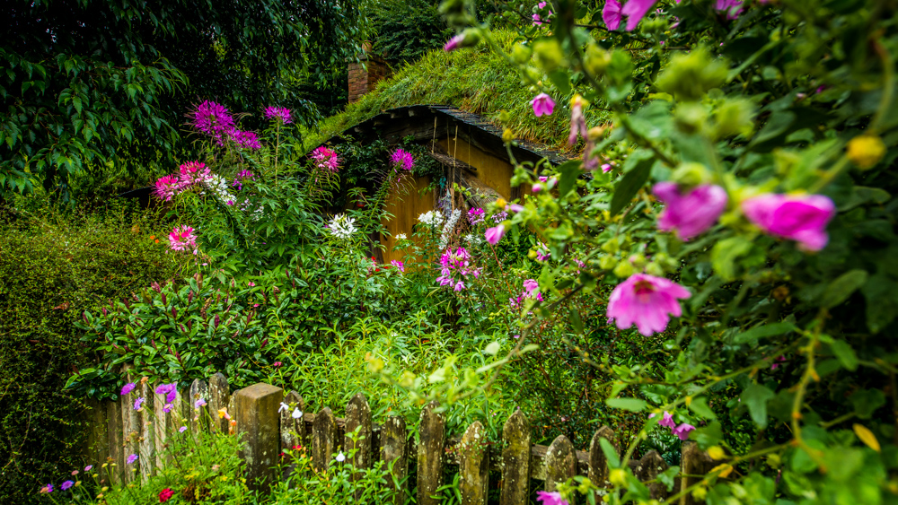 Hobbiton-Nowa-Zelandia-4