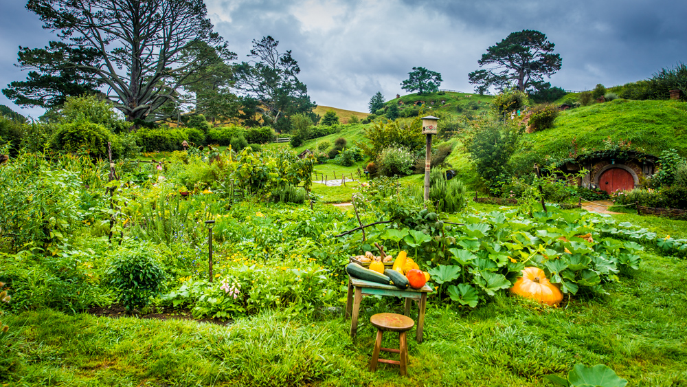 Hobbiton-Nowa-Zelandia-5