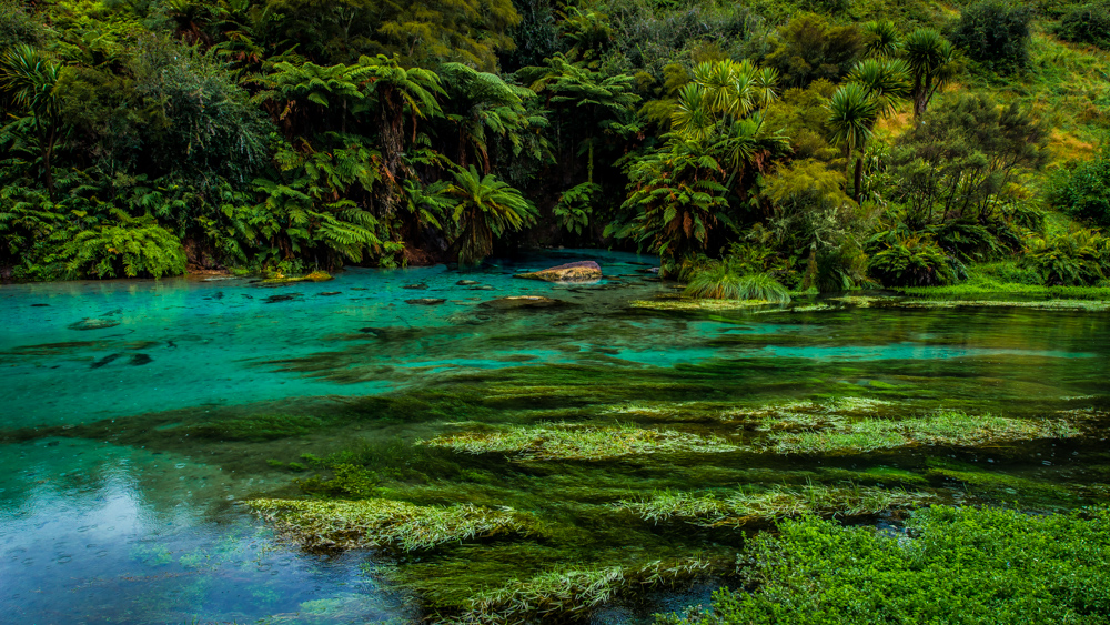 Wai-o-tapu-Nowa-Zelandia-5