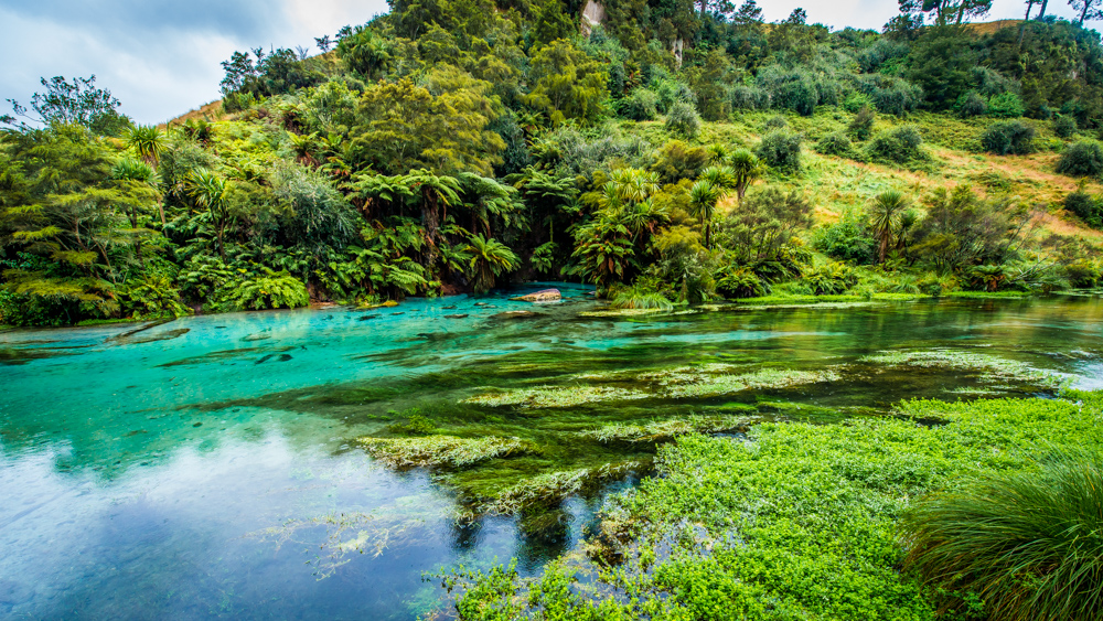 Wai-o-tapu-Nowa-Zelandia-6