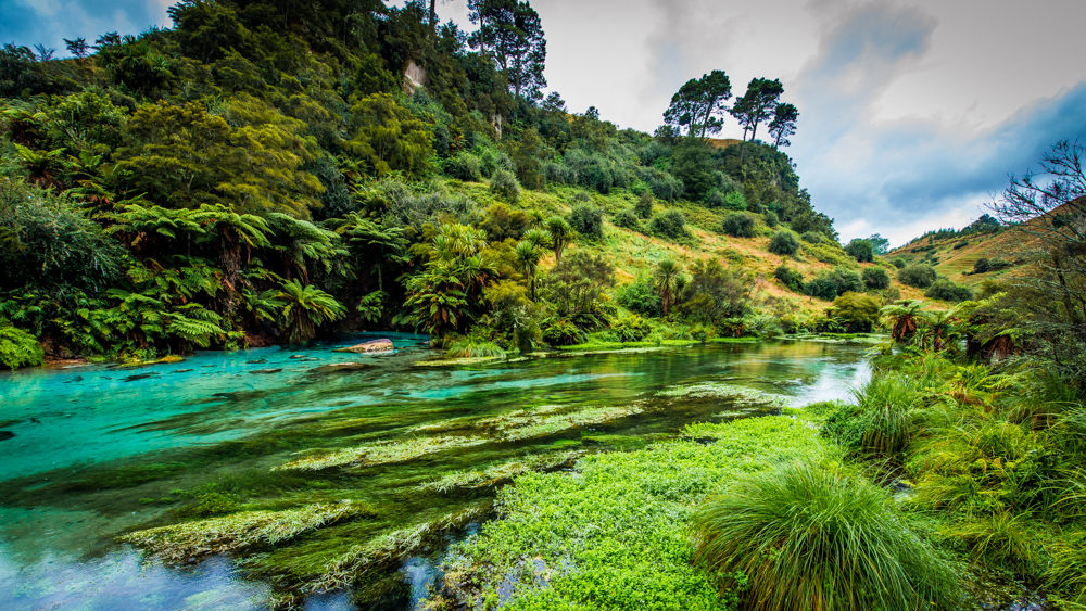 Wai-o-tapu-Nowa-Zelandia-7