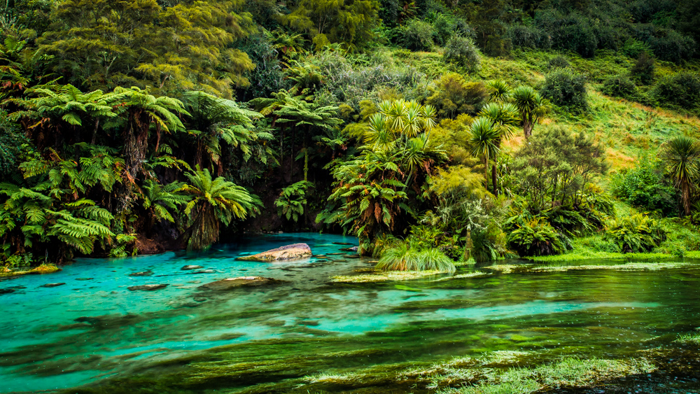 Wai-o-tapu-Nowa-Zelandia-9