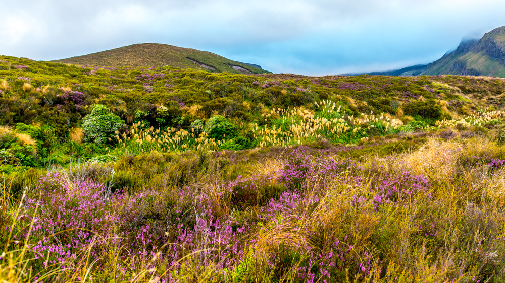 Tongariro Crossing-1