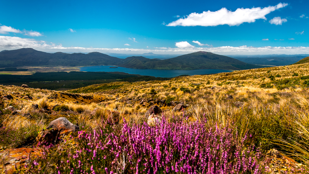 Tongariro Crossing-41