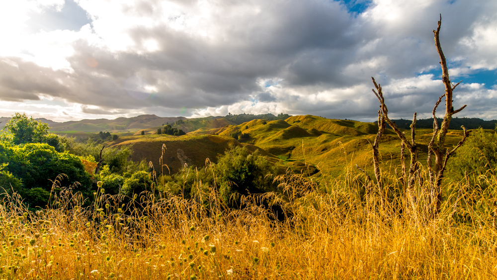 Tongariro Crossing-42