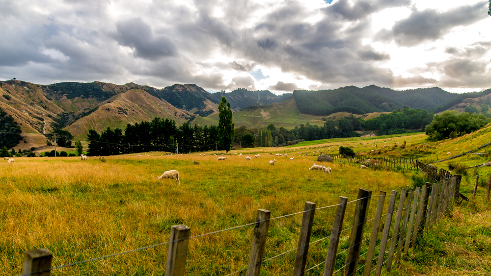 Tongariro Crossing-43