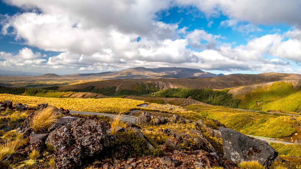 whakapapa-Nowa-Zelandia-11