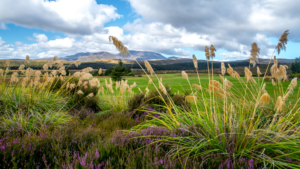 whakapapa-Nowa-Zelandia-5