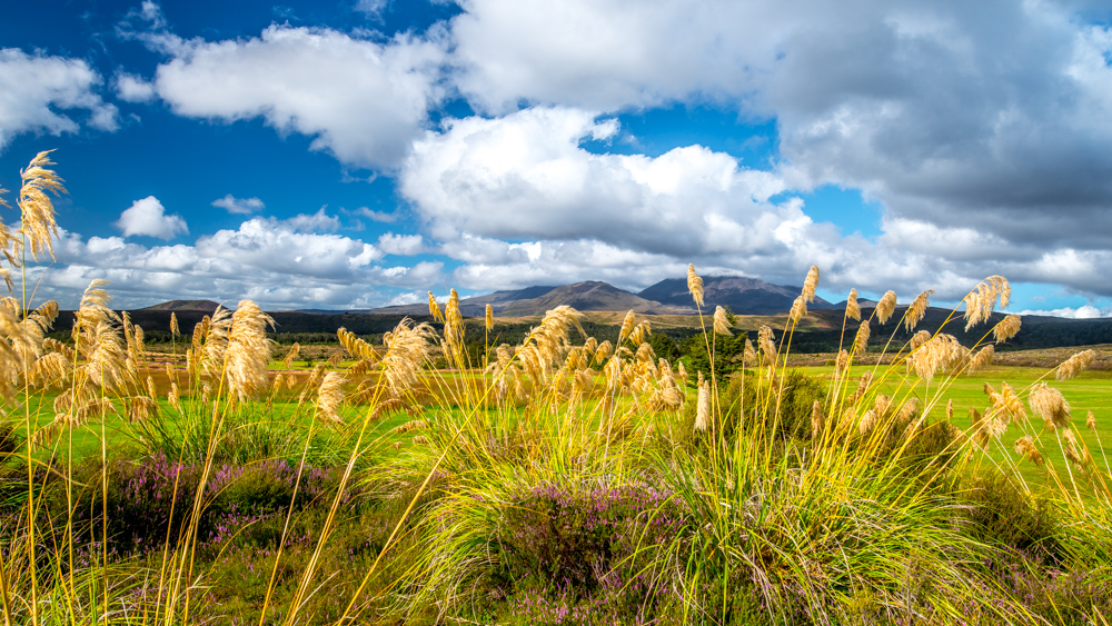 whakapapa-Nowa-Zelandia-7