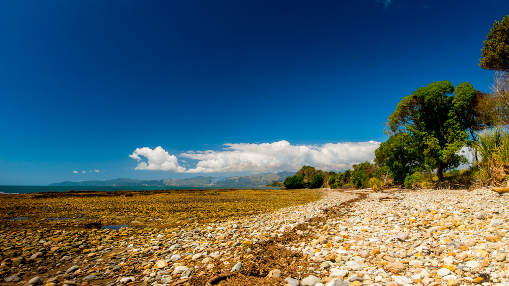 nowa-zelandia-abel-tasman-park-10