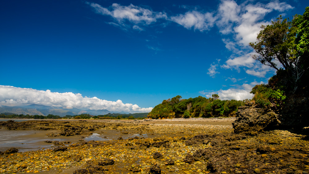 nowa-zelandia-abel-tasman-park-11