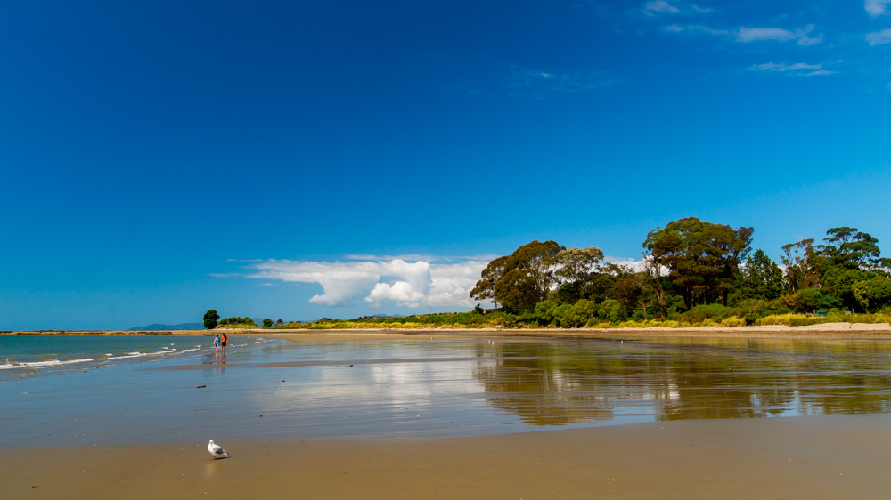 nowa-zelandia-abel-tasman-park-13