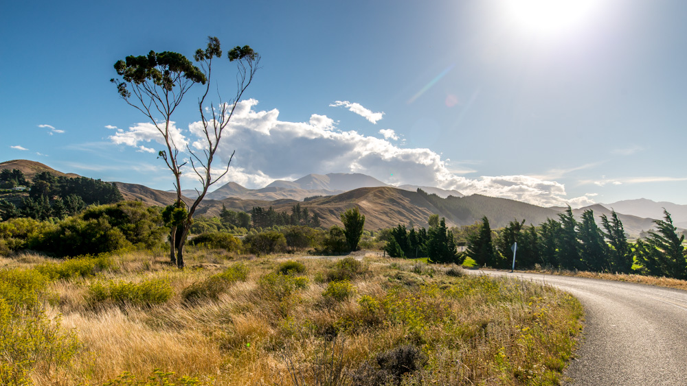 renwick-wine-by-bike-19