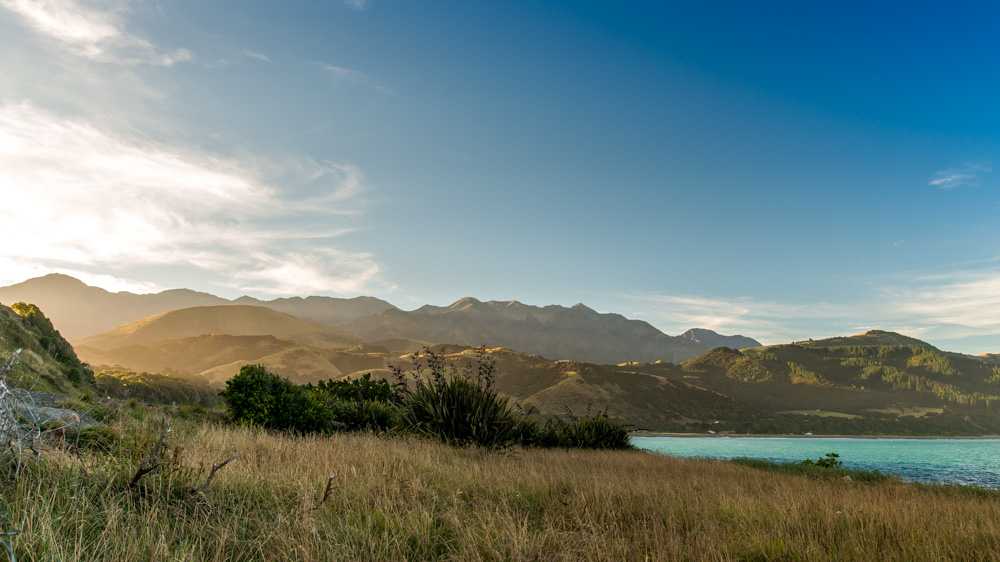 renwick-wine-by-bike-27