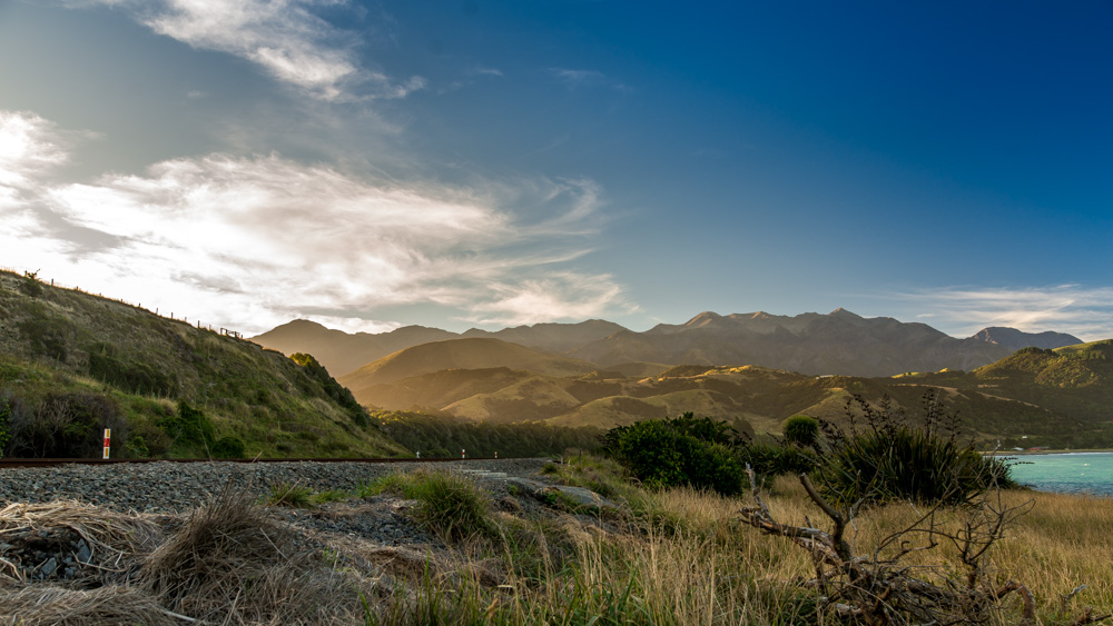 renwick-wine-by-bike-29