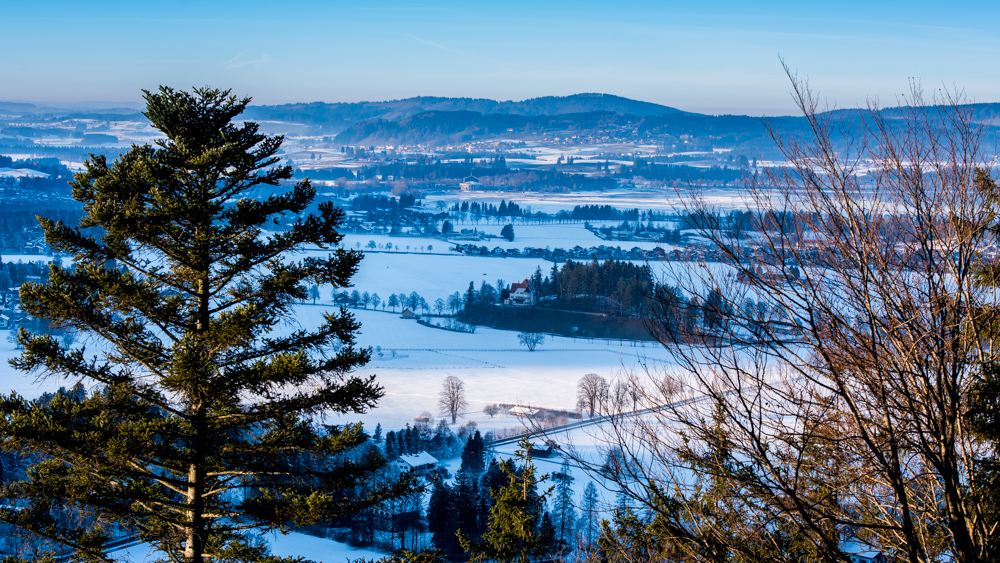 zamek-w-niemczech-neuschwanstein-1