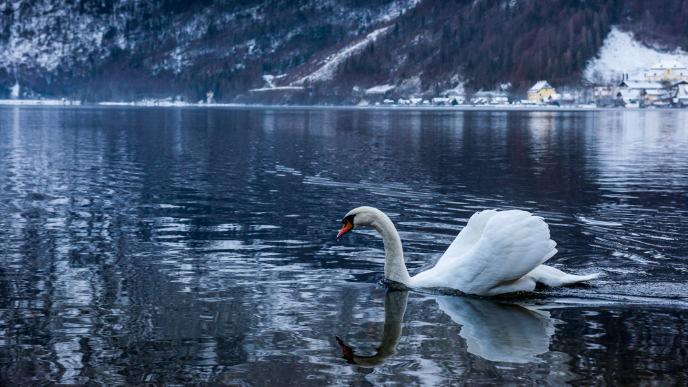 hallstatt austria-28