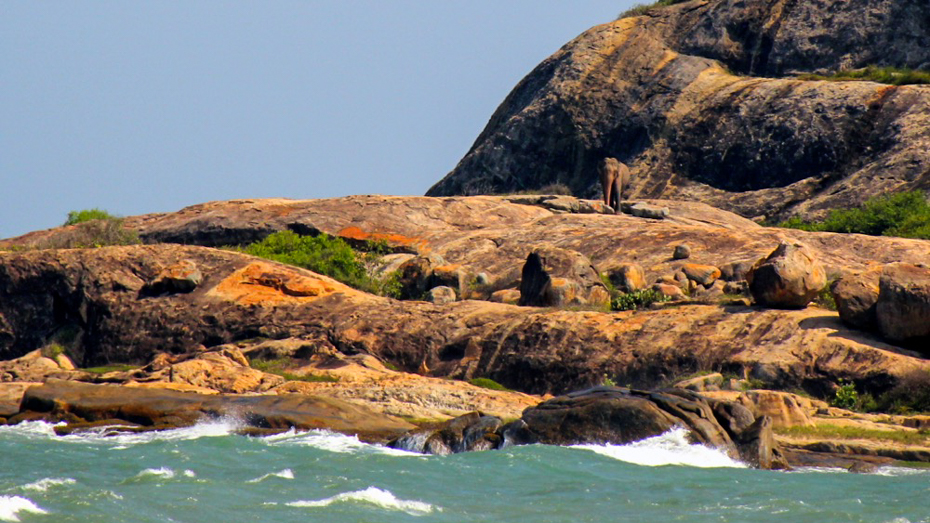 plecak i walizak sri lanka