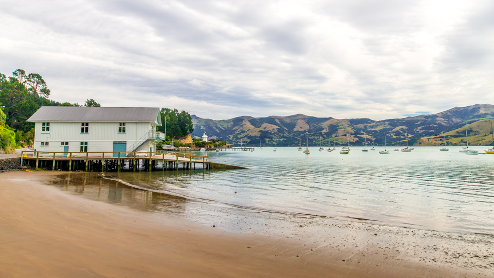 Nowa Zelandia Akaroa-15