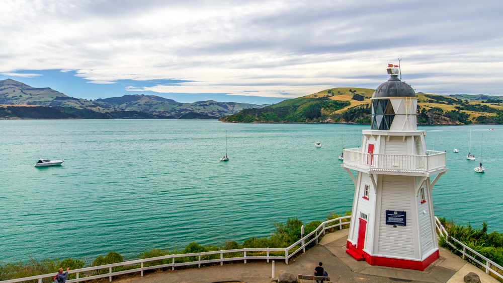 Nowa Zelandia Akaroa-16