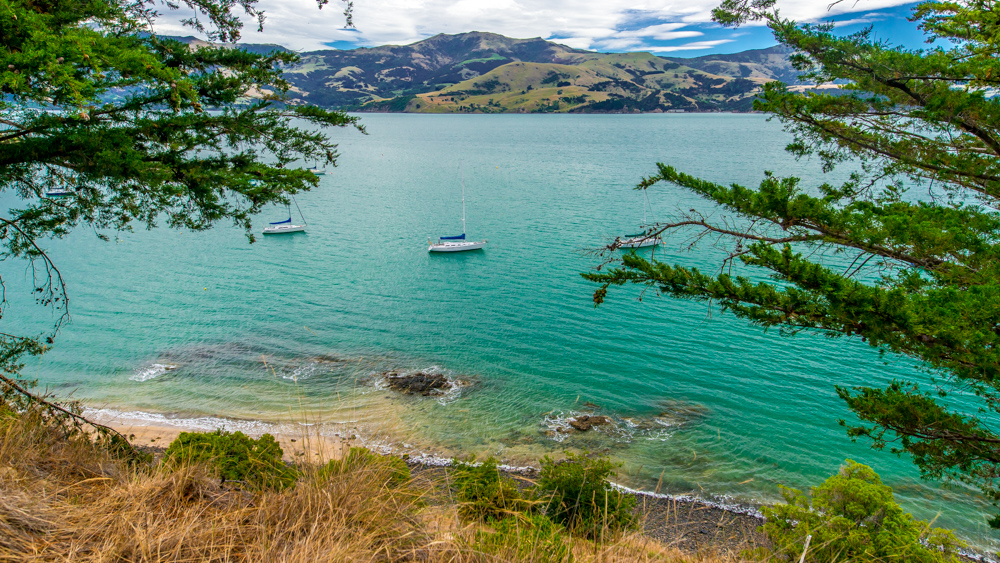 Nowa Zelandia Akaroa-17