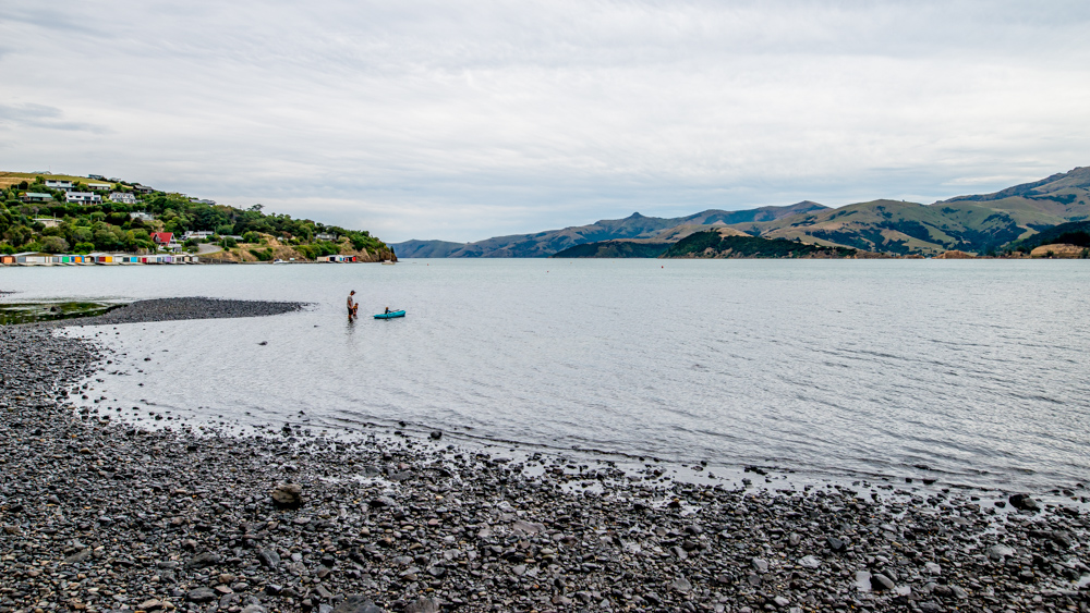 Nowa Zelandia Akaroa-3