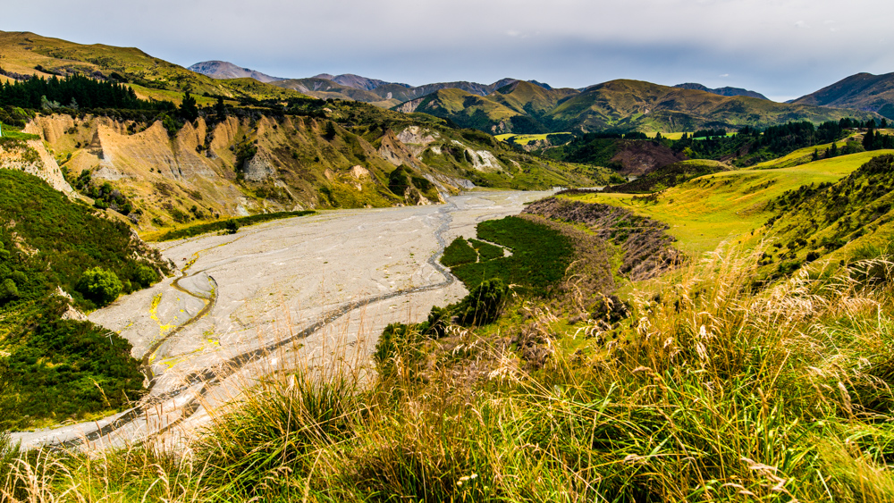 Nowa Zelandia Akaroa-32