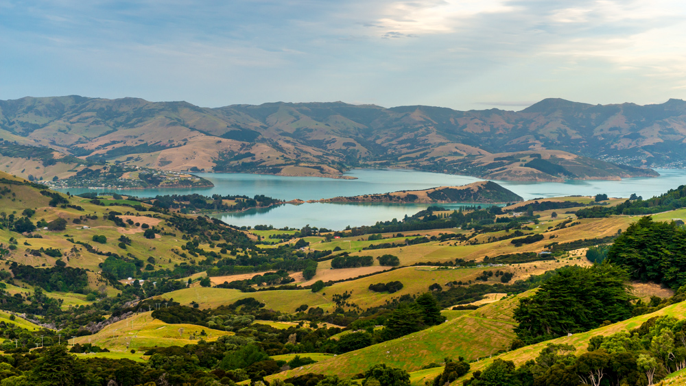 Nowa Zelandia Akaroa-35