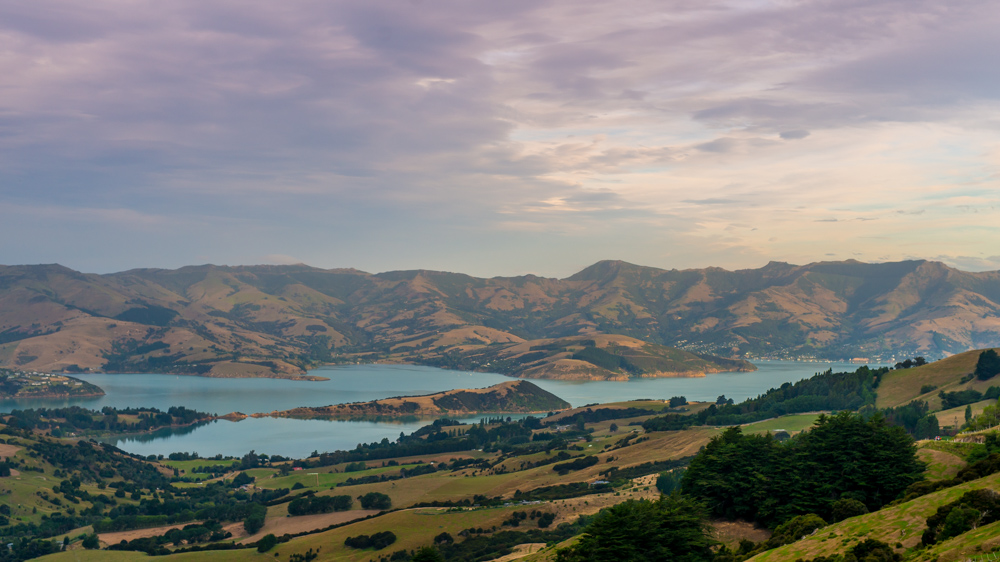 Nowa Zelandia Akaroa-37