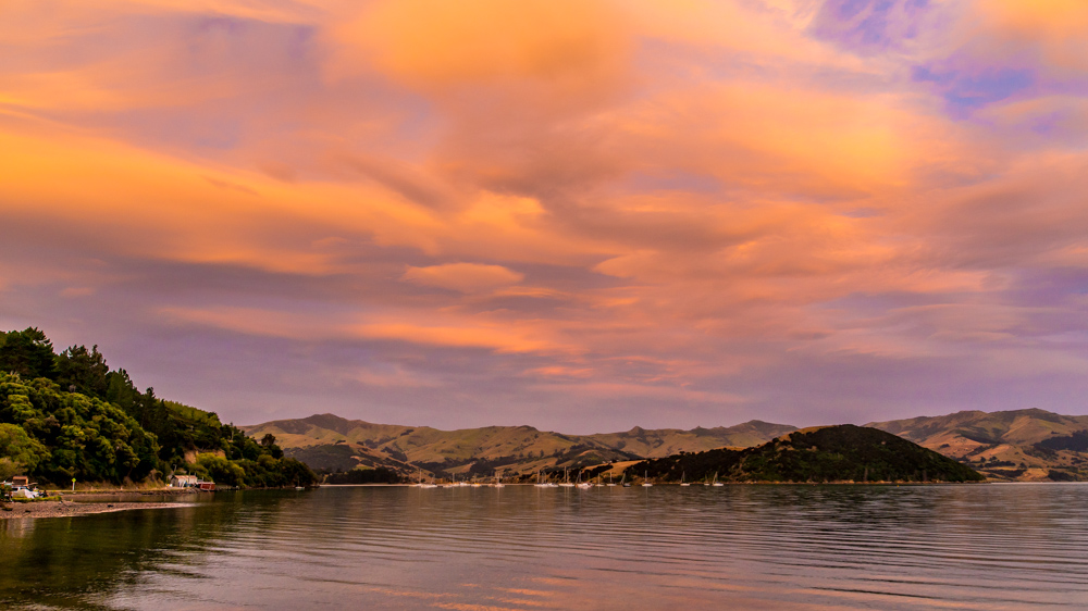 Nowa Zelandia Akaroa-38