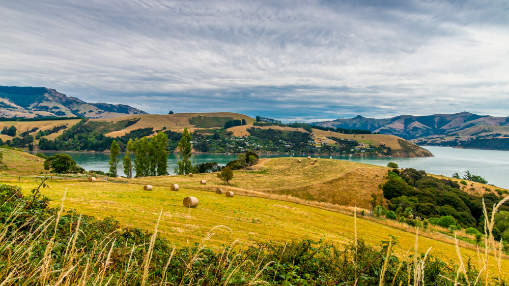 Nowa Zelandia Akaroa-5