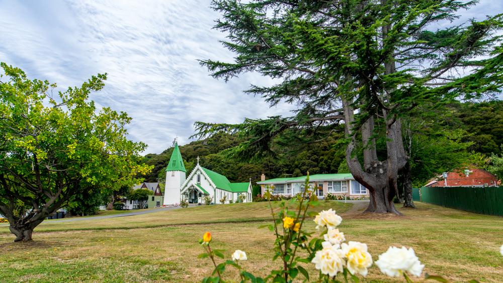 Nowa Zelandia Akaroa-7