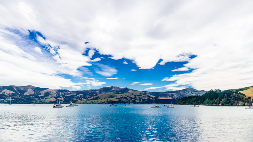 Nowa Zelandia Akaroa-8