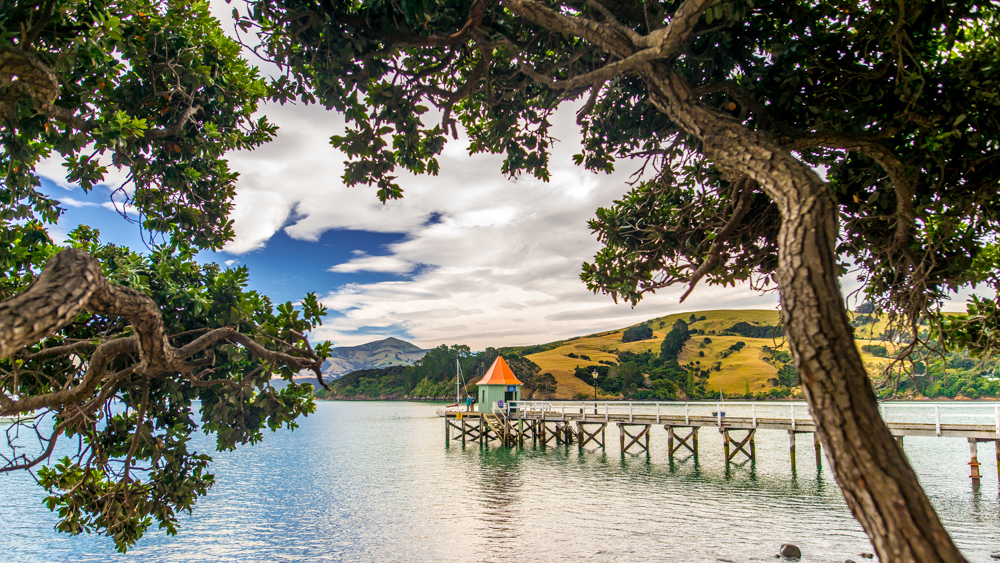 Nowa Zelandia Akaroa-9