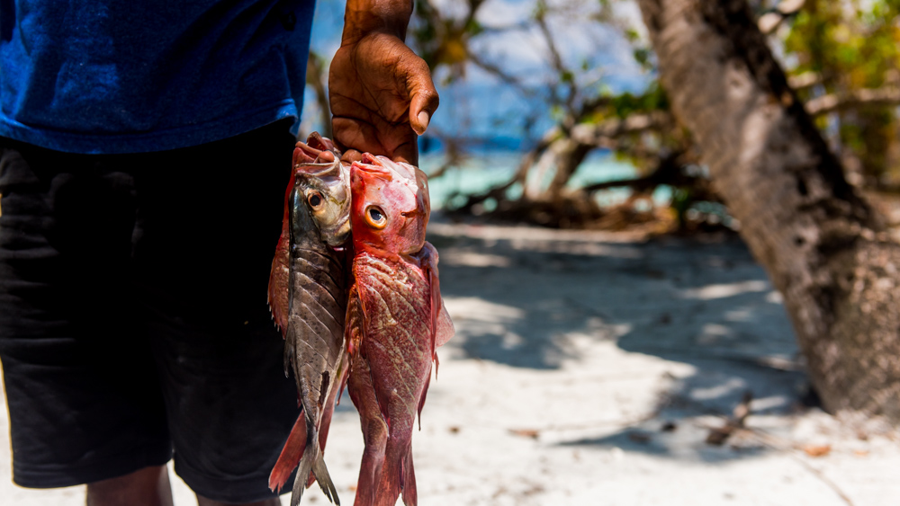 Malediwy Nilandhoo-57