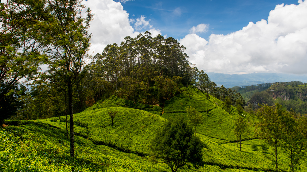 Sri Lanka najpiekniejsze miejsca-27